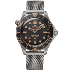 OMEGA - SEAMASTER DIVER 300M - (BRONZE)